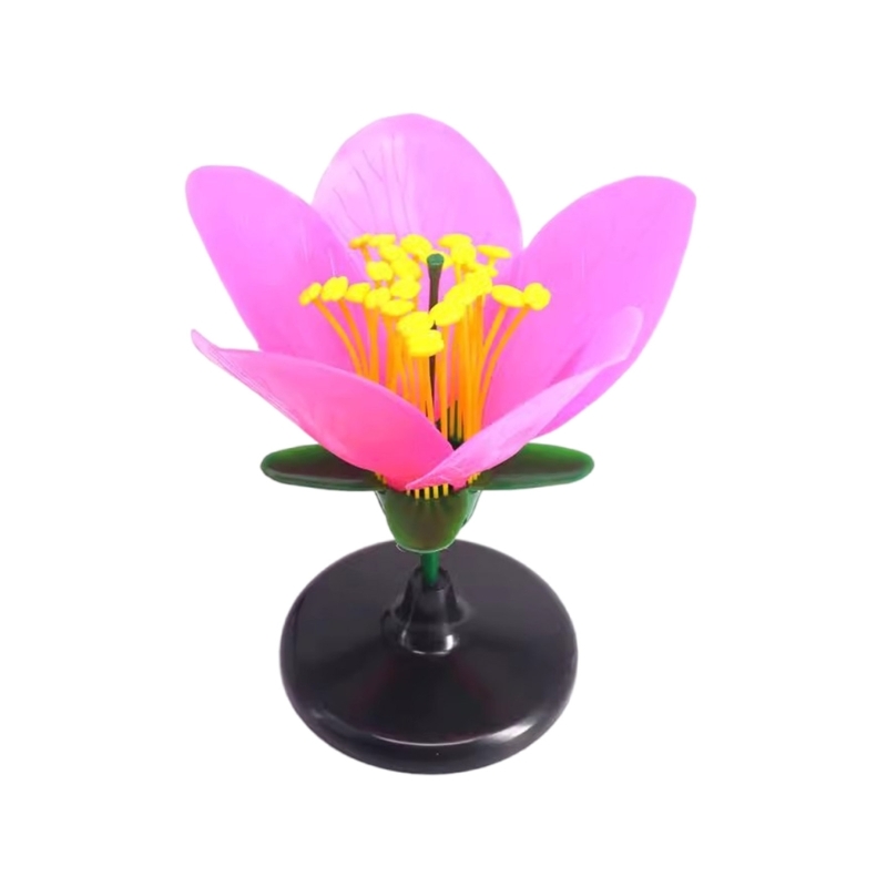 K9FC Realistic Plant Teaching  – Science Exhibition Models Bewertung und Preis