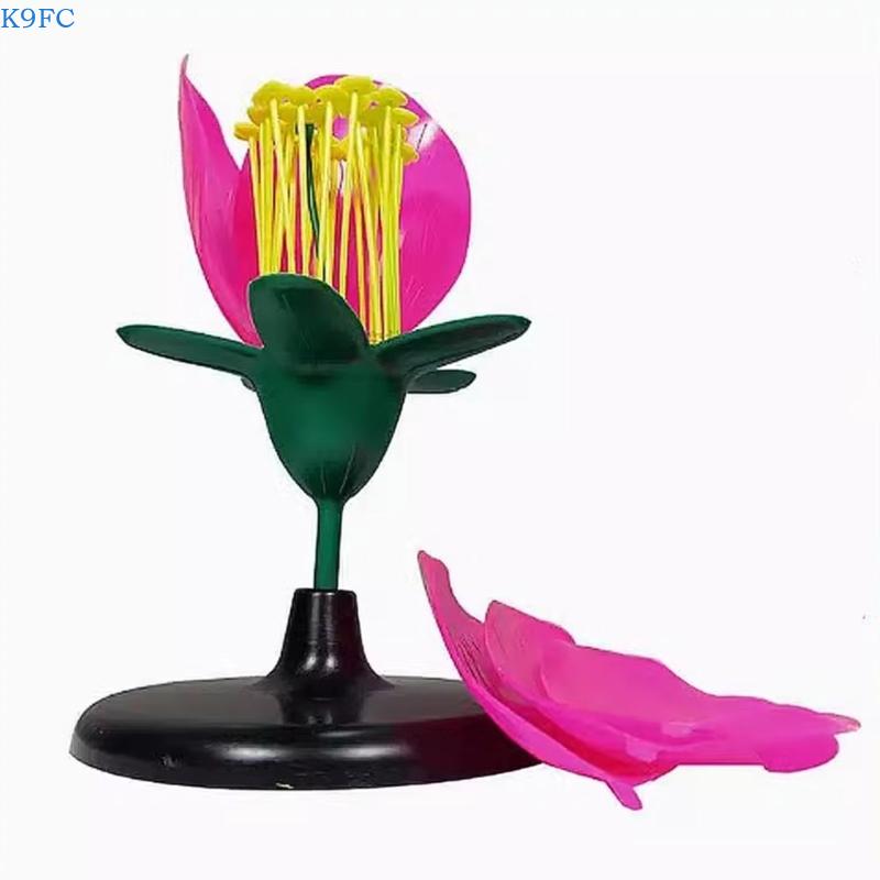 K9FC Realistic Plant Teaching  – Science Exhibition Models Bewertung und Preis