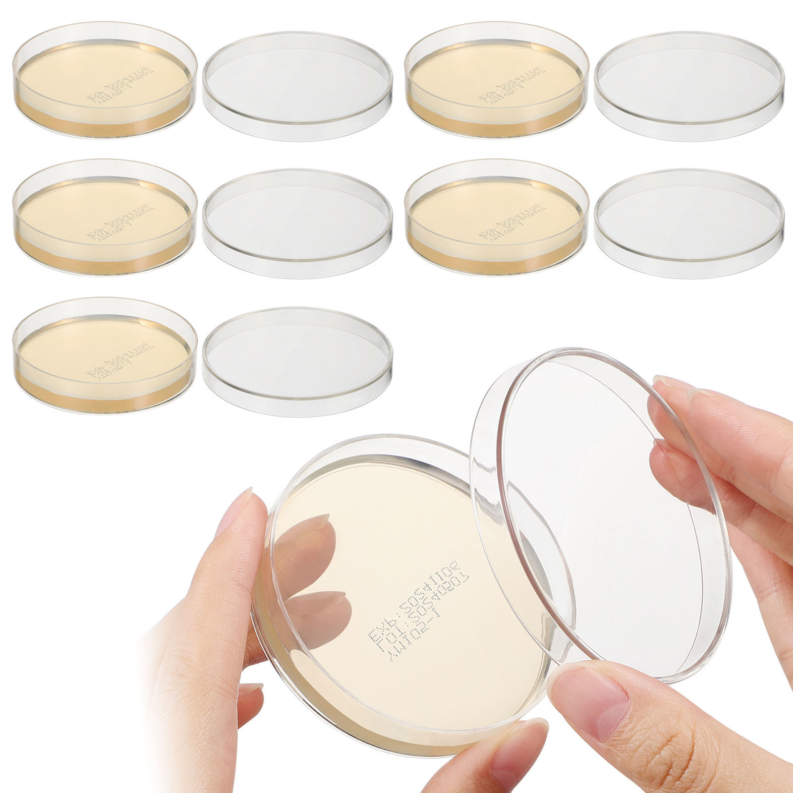 Agar Plates 10pcs Ready to Use – Science Experiment Bewertung und Preis