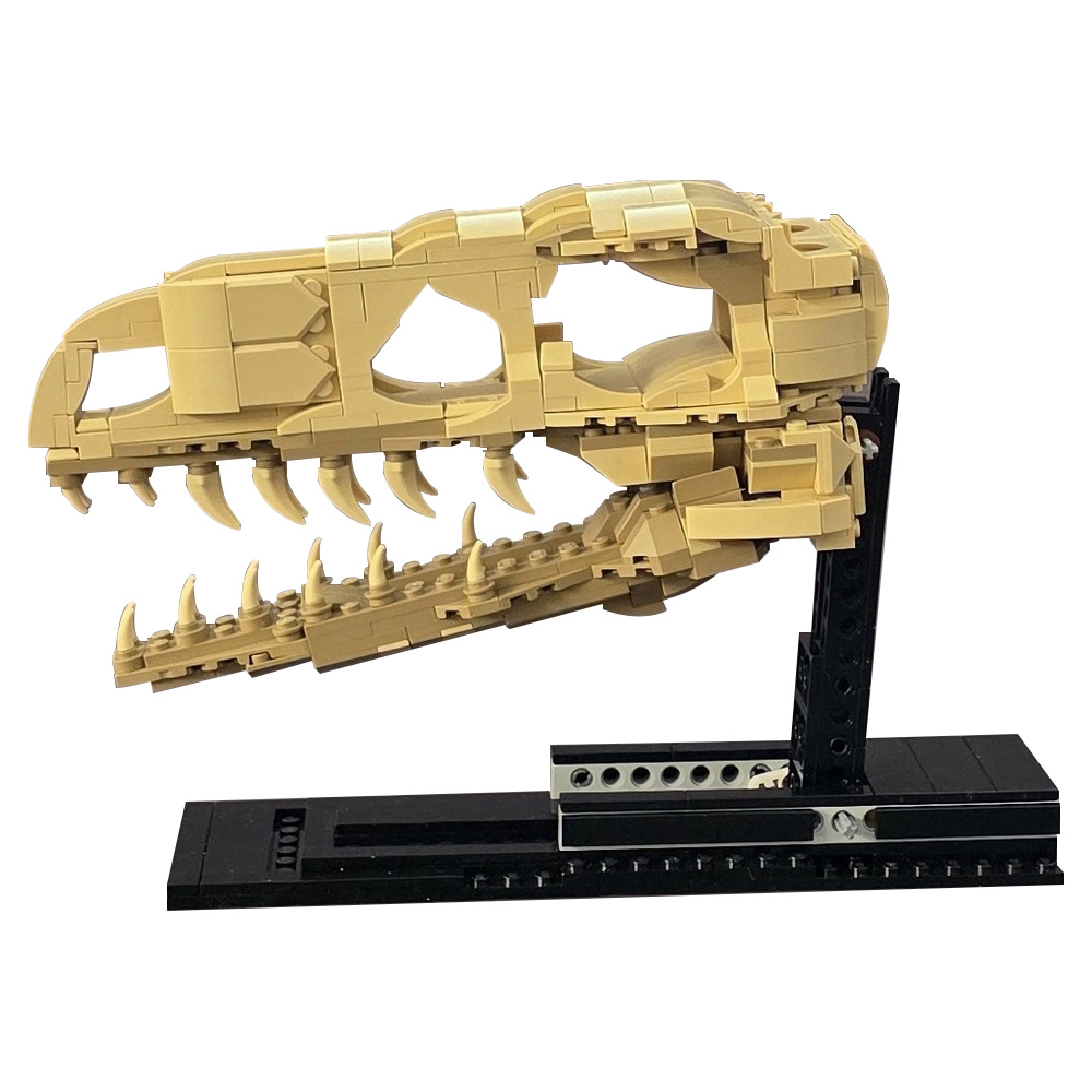 MOC Velociraptor Fossil Skull  – Fossil Replica Display Bewertung und Preis