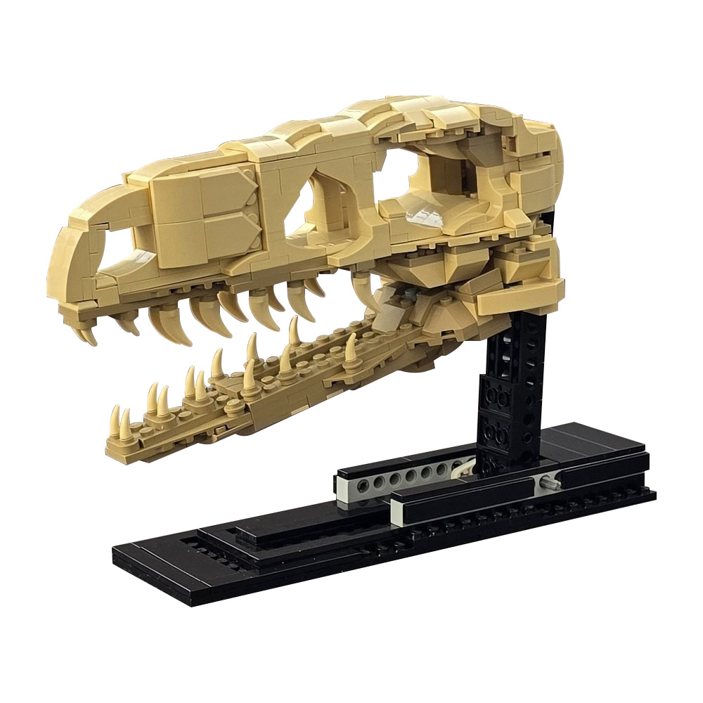 MOC Velociraptor Fossil Skull  – Fossil Replica Display Bewertung und Preis