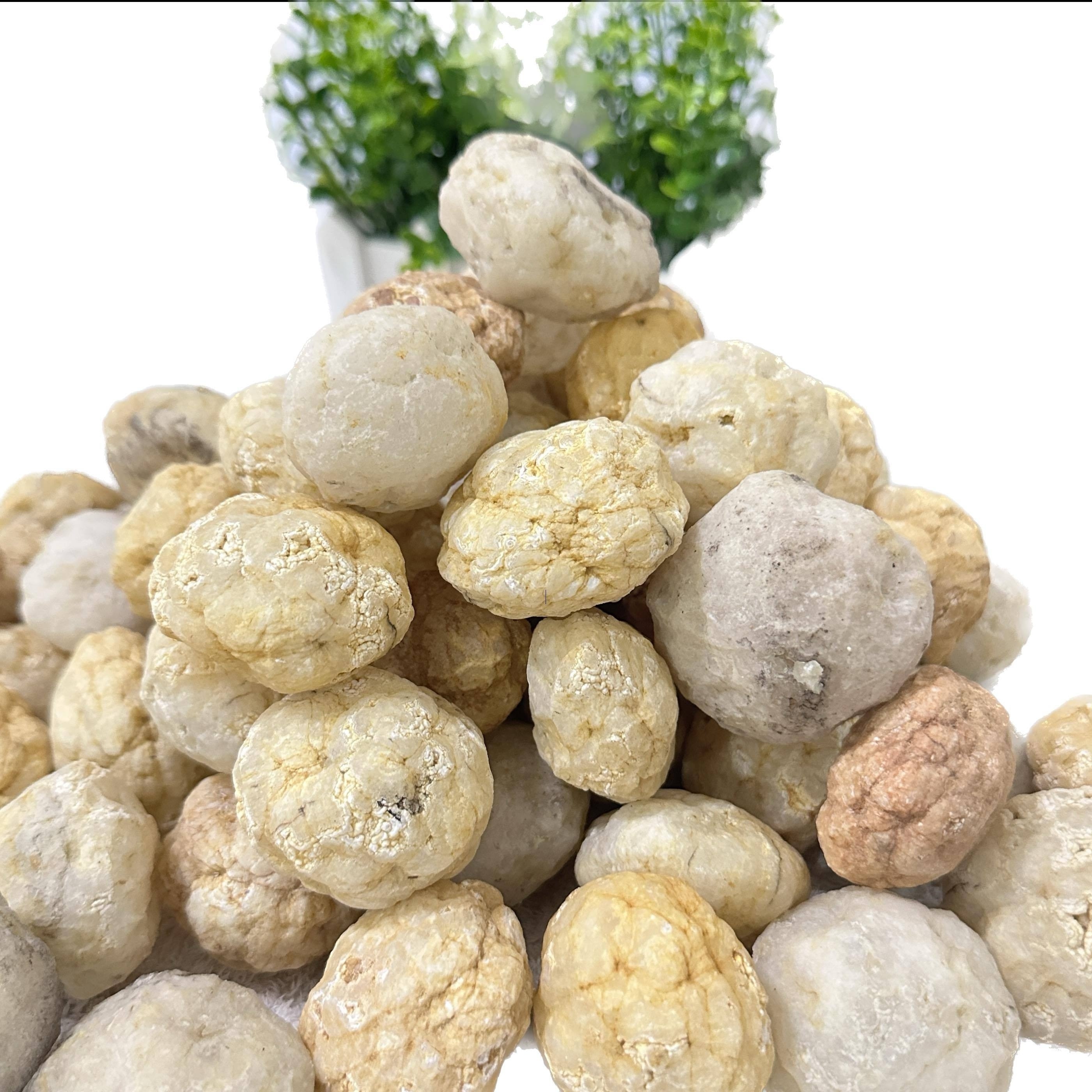 Break Your Own Geodes Natural  – Geode Crystal Break Bewertung und Preis