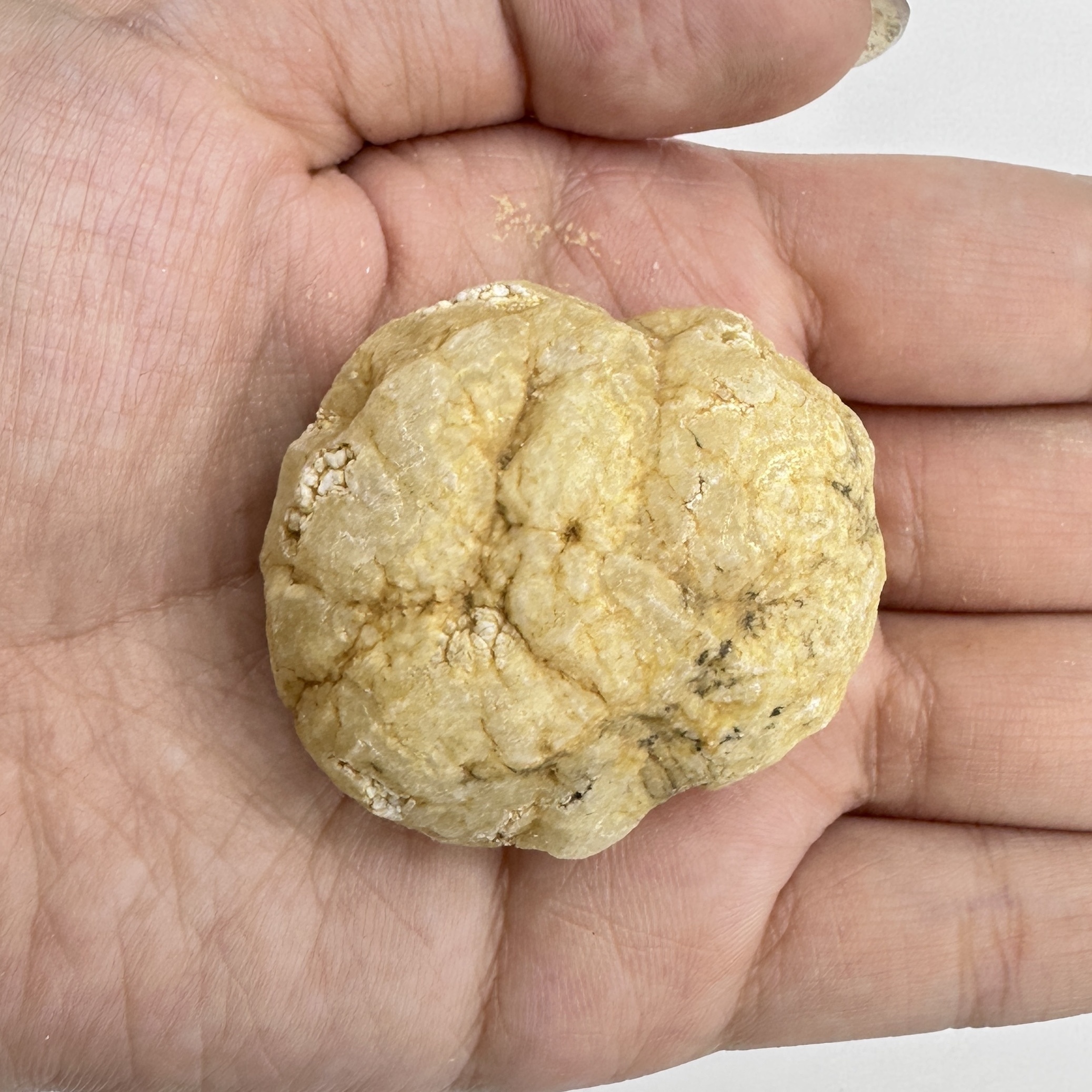 Break Your Own Geodes Natural  – Geode Crystal Break Bewertung und Preis