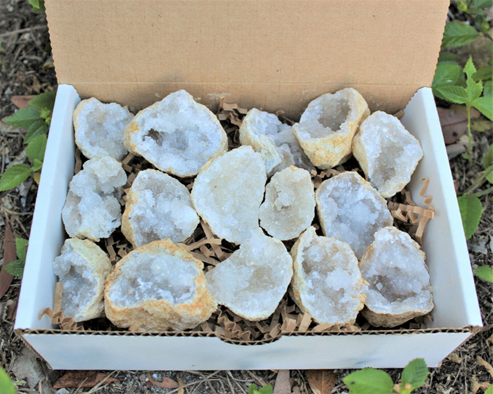 Large Unopened Moroccan Crysta – Geode Crystal Break Bewertung und Preis