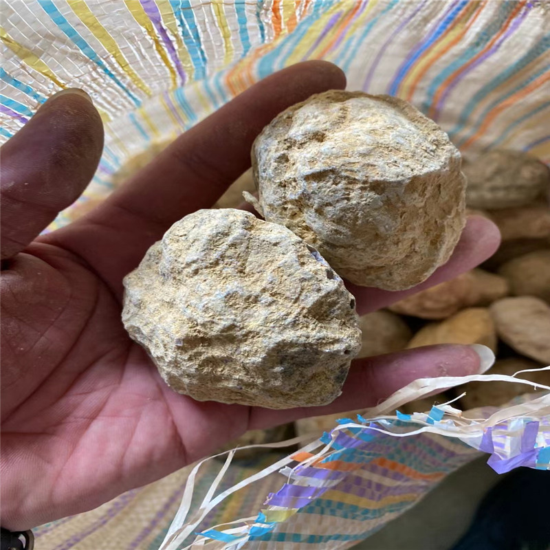 Break Your Own Geodes Natural  – Geode Crystal Break Bewertung und Preis