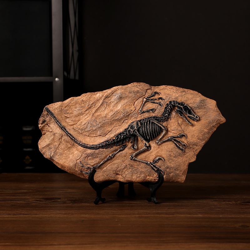 ‌Realistic Dinosaur Fossil Rep – Fossil Replica Display Bewertung und Preis