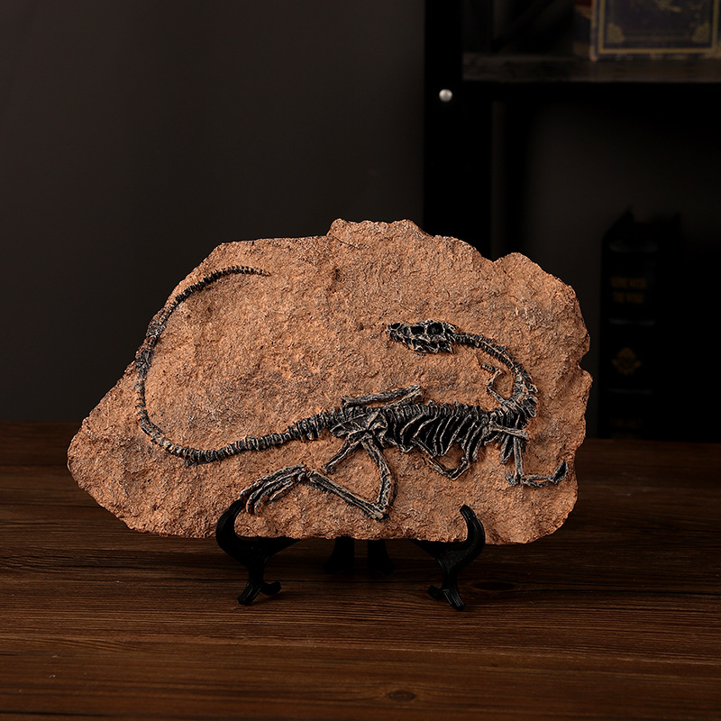 ‌Realistic Dinosaur Fossil Rep – Fossil Replica Display Bewertung und Preis