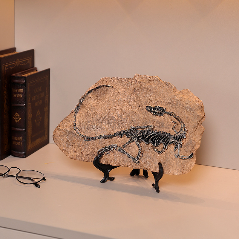 ‌Realistic Dinosaur Fossil Rep – Fossil Replica Display Bewertung und Preis