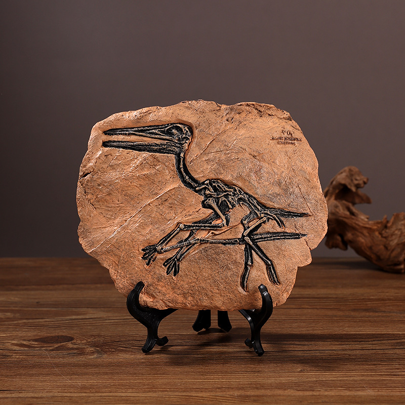 ‌Realistic Dinosaur Fossil Rep – Fossil Replica Display Bewertung und Preis