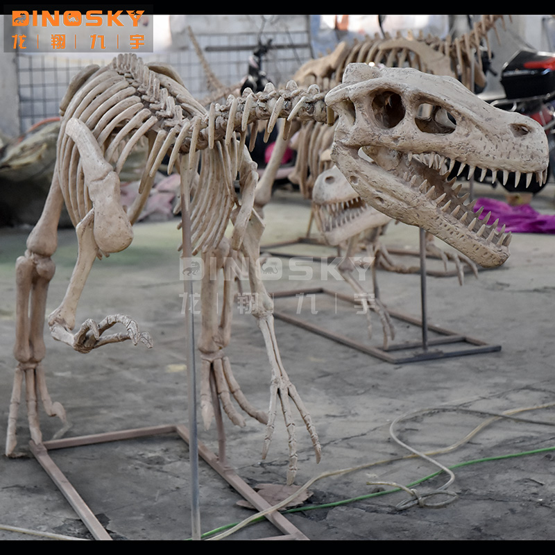 ATV&UTVResin Raptor Skeleton F – Science Exhibition Models Bewertung und Preis