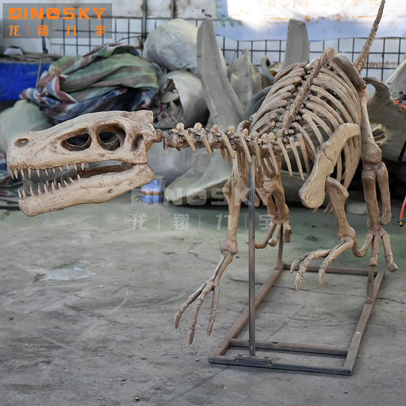 ATV&UTVResin Raptor Skeleton F – Science Exhibition Models Bewertung und Preis